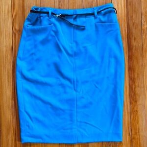 Calvin Klein Women's Lined Skirt Size 4 Turquoise X6JSL175 w/ Black Leather Belt